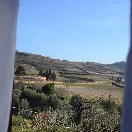 B&B La Grola San Martino Buon Albergo Room photo