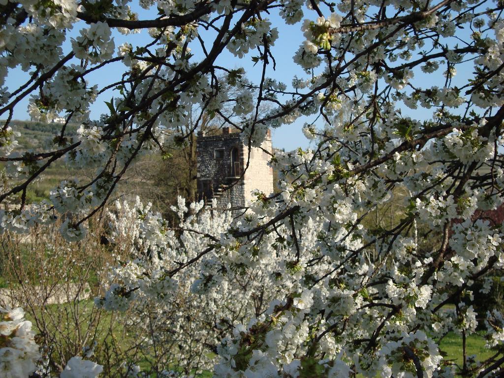 Bed & Breakfast La Grola *